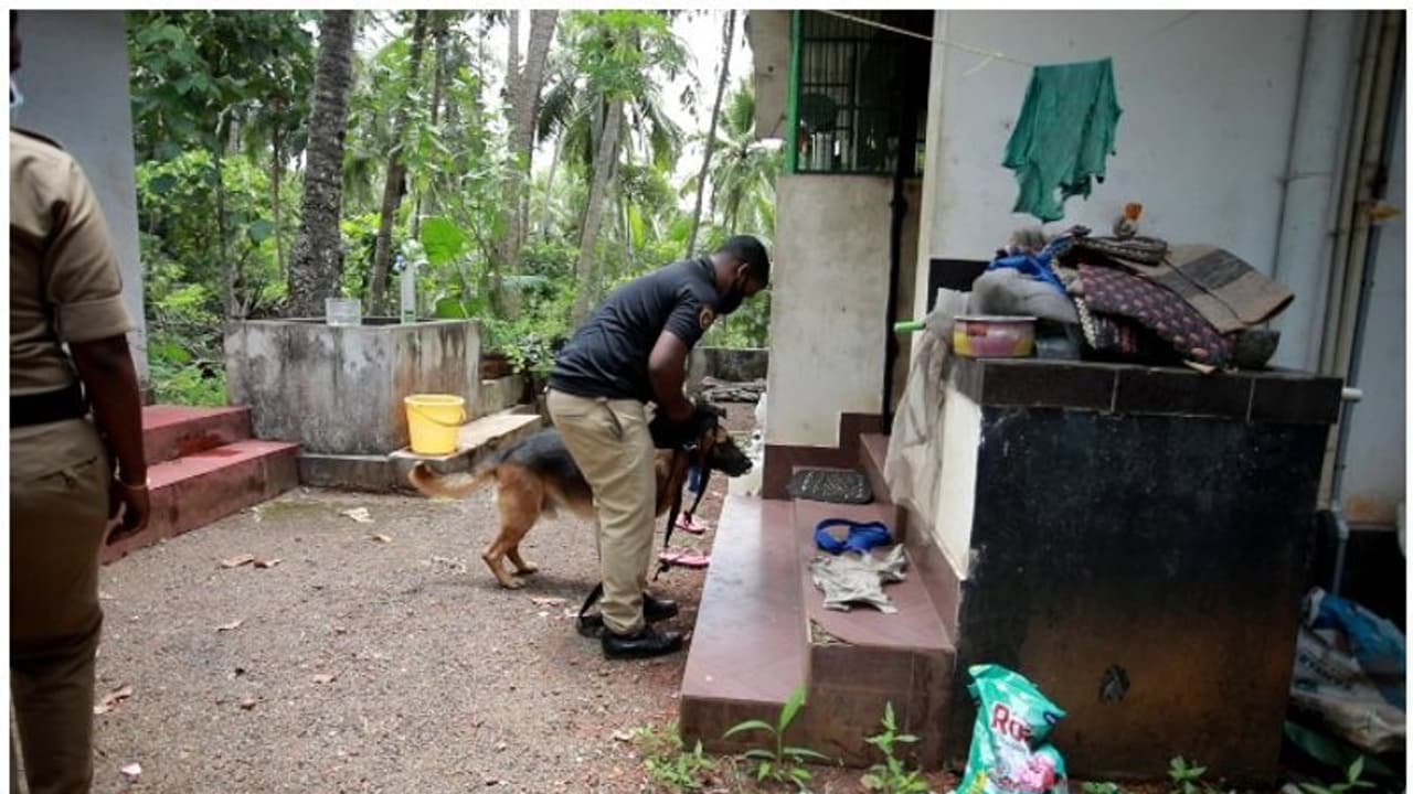 മകളുടെ വിവാഹത്തിനായി സൂക്ഷിച്ച 35 പവൻ സ്വർണവും അര ലക്ഷവും മോഷണം പോയി മകളുടെ വിവാഹത്തിനായി സൂക്ഷിച്ച 35 പവൻ സ്വർണവും അര ലക്ഷവും മോഷണം പോയി