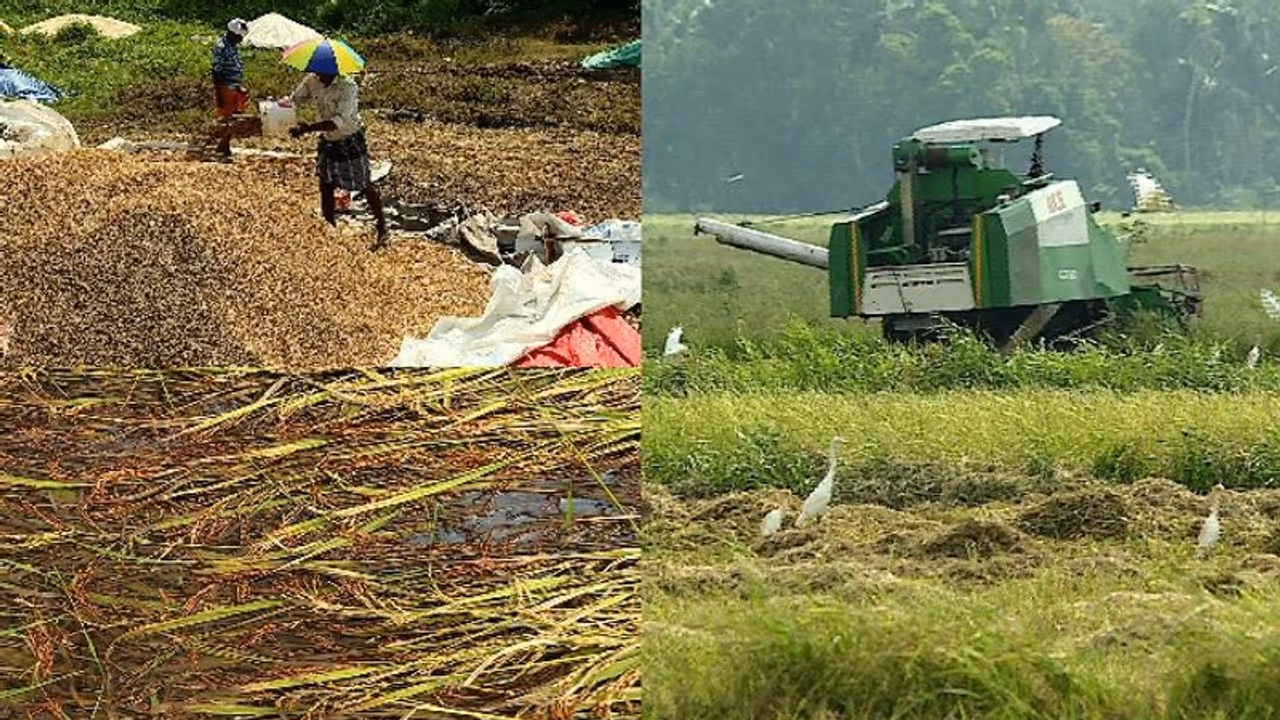 നെൽകർഷകർക്കുള്ള ആനുകൂല്യത്തിന് കാത്തിരിക്കേണ്ടത് വർഷങ്ങൾ; പ്രൊഡക്ഷൻ ബോണസ് മുടങ്ങിയിട്ട് മൂന്ന് വർഷം നെൽകർഷകർക്കുള്ള ആനുകൂല്യത്തിന് കാത്തിരിക്കേണ്ടത് വർഷങ്ങൾ; പ്രൊഡക്ഷൻ ബോണസ് മുടങ്ങിയിട്ട് മൂന്ന് വർഷം