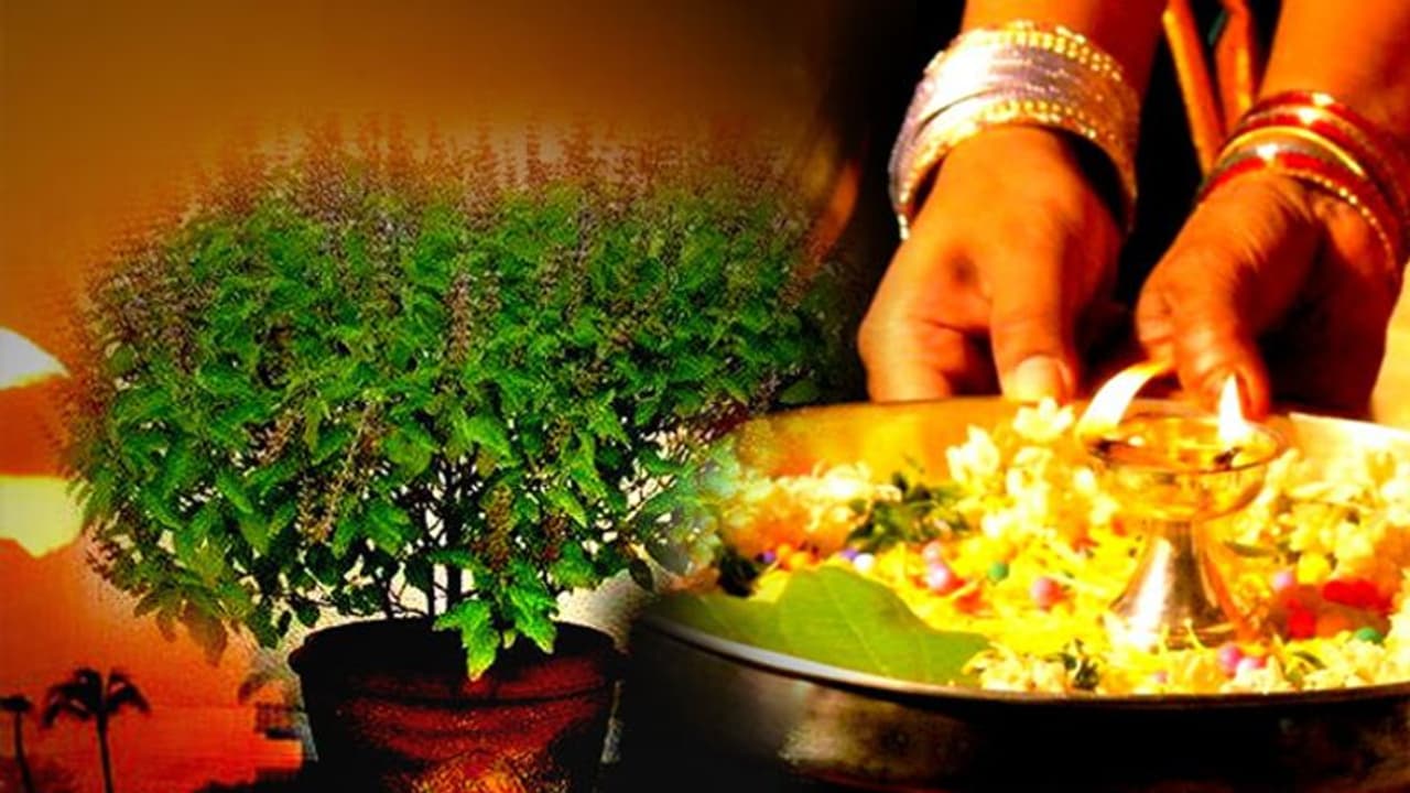 शुरू हो चुका है हिंदू पंचांग का दूसरा महीना वैशाख, इस महीने में क्या काम करें? जानिए व्रत त्योहार की जानकारी शुरू हो चुका है हिंदू पंचांग का दूसरा महीना वैशाख, इस महीने में क्या काम करें? जानिए व्रत त्योहार की जानकारी