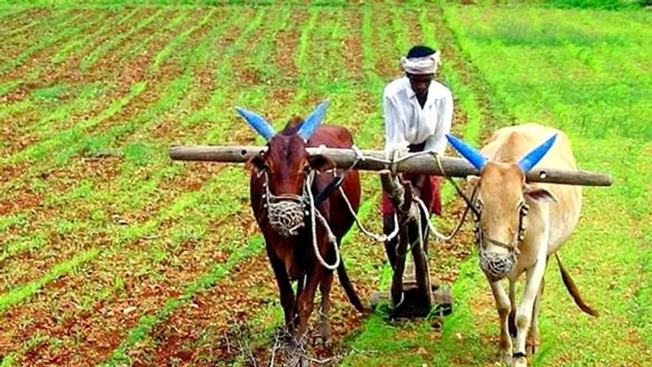 ರಾಜ್ಯದಲ್ಲಿ 114 ಲಕ್ಷ ಹೆಕ್ಟೇರ್‌ನಲ್ಲಿ ಬಿತ್ತನೆ ಗುರಿ: ಕೃಷಿ ಇಲಾಖೆಯಿಂದ ಬೀಜ ದಾಸ್ತಾನು