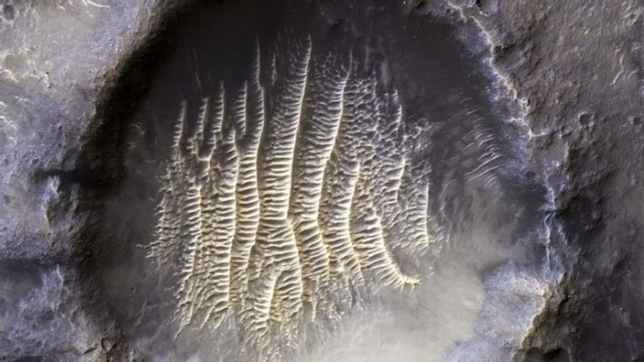 আপনি কী বলতে পারেন এটি কিসের ছবি, নেটিজেনরা বলছে ভিনগ্রহীর পায়ের ছাপ 