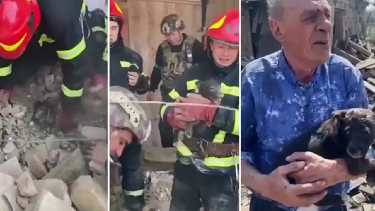Watch: A puppy rescued from the building debris and reuniting with its owner in Ukraine wins the hearts