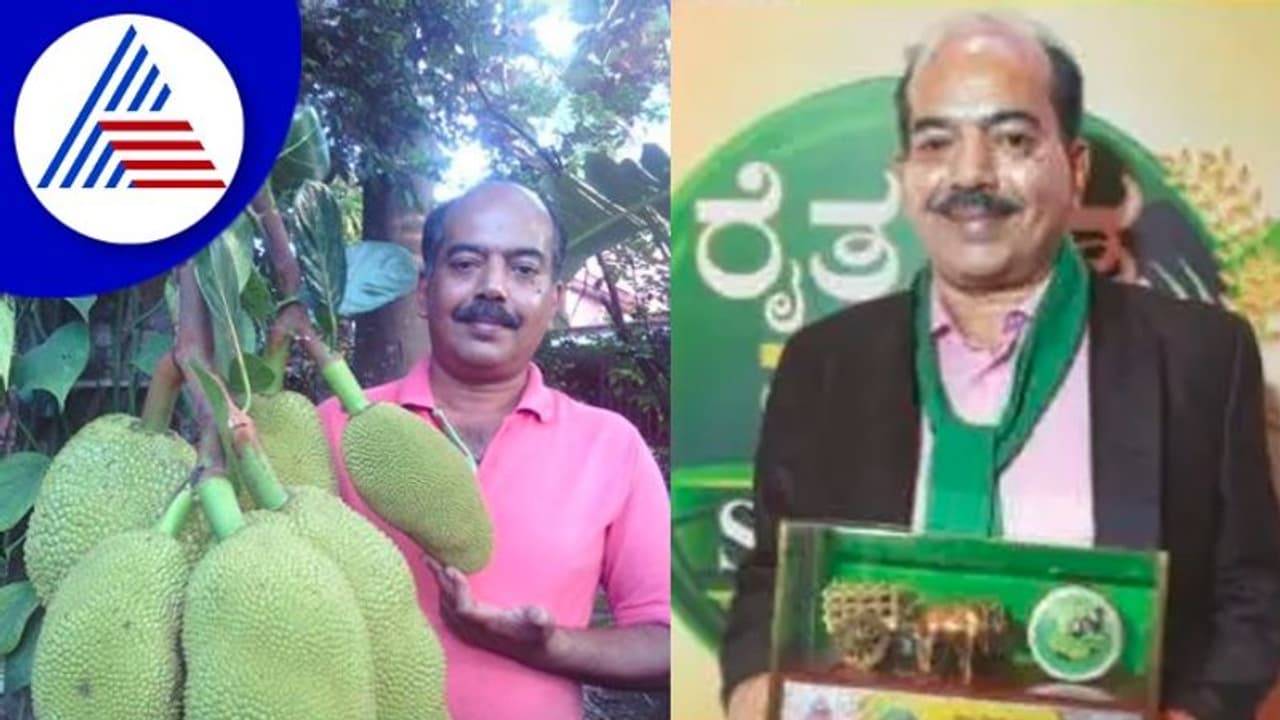 Raita Ratna Award 2022: ಬ್ಲಾನಿ ಡಿಸೋಜರ ಟೆರೇಸ್‌ನಲ್ಲಿದೆ ಕೃಷಿಯ ಅದ್ಭುತ ಲೋಕ!