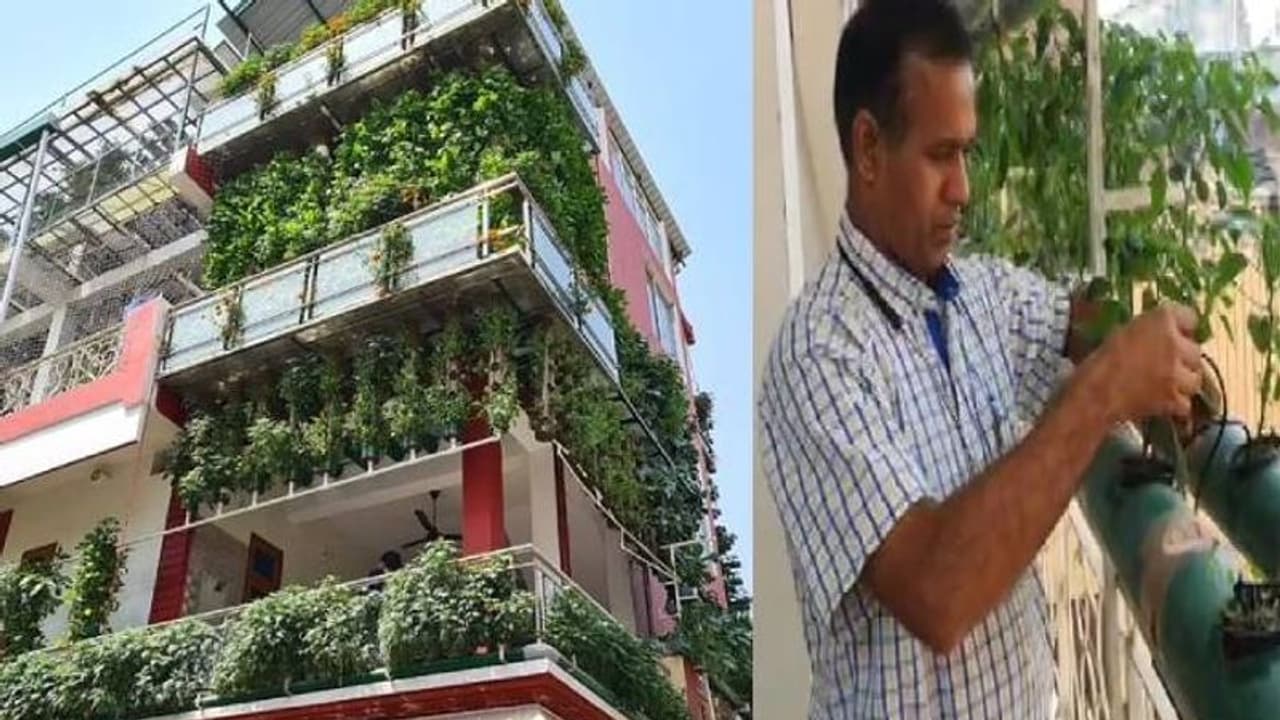 കൃഷിയിലൂടെ ലക്ഷങ്ങൾ, ഹൈഡ്രോപോണിക്സ് കൃഷിരീതി പരിചയപ്പെടുത്താൻ രാംവീർ കൃഷിയിലൂടെ ലക്ഷങ്ങൾ, ഹൈഡ്രോപോണിക്സ് കൃഷിരീതി പരിചയപ്പെടുത്താൻ രാംവീർ