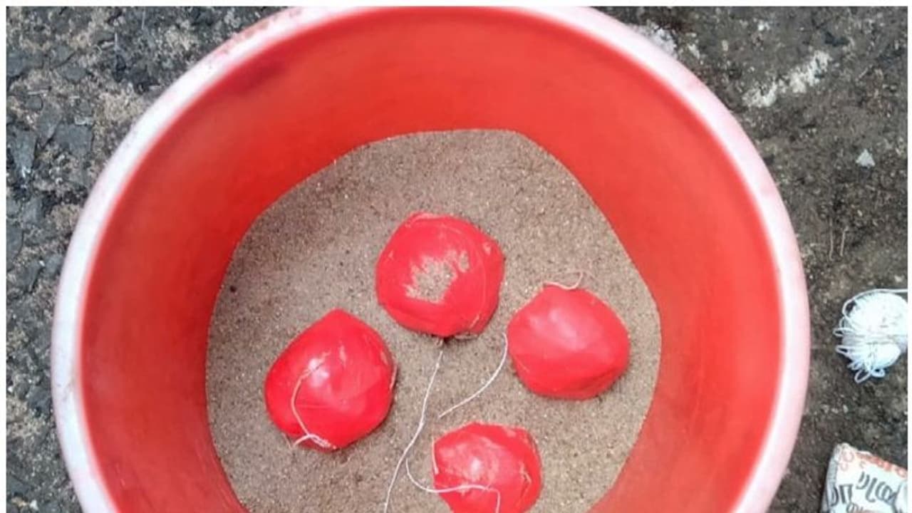 കണ്ണൂരില് ആള് താമസമില്ലാത്ത വീട്ടില് നിന്ന് നാടന് ബോംബുകള് കണ്ടെത്തി കണ്ണൂരില് ആള് താമസമില്ലാത്ത വീട്ടില് നിന്ന് നാടന് ബോംബുകള് കണ്ടെത്തി