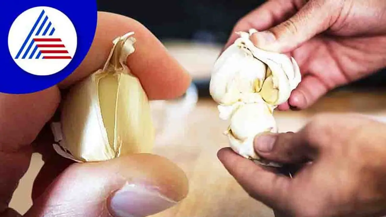 Kitchen Hack: ಕೆಲವೇ ಸೆಕೆಂಡುಗಳಲ್ಲಿ ಬೆಳ್ಳುಳ್ಳಿ ಸಿಪ್ಪೆ ಸುಲಿಯುವ ಸುಲಭ ವಿಧಾನ Kitchen Hack: ಕೆಲವೇ ಸೆಕೆಂಡುಗಳಲ್ಲಿ ಬೆಳ್ಳುಳ್ಳಿ ಸಿಪ್ಪೆ ಸುಲಿಯುವ ಸುಲಭ ವಿಧಾನ