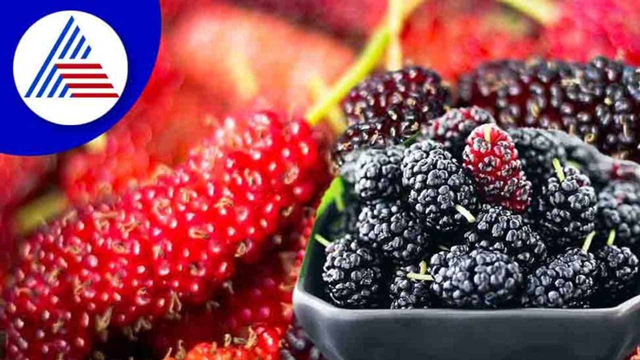 Health Tips : ಬೇಸಿಗೆಯಲ್ಲಿ ಈ ಹಣ್ಣು ತಿನ್ನಲು ಮರೆಯಬೇಡಿ Health Tips : ಬೇಸಿಗೆಯಲ್ಲಿ ಈ ಹಣ್ಣು ತಿನ್ನಲು ಮರೆಯಬೇಡಿ