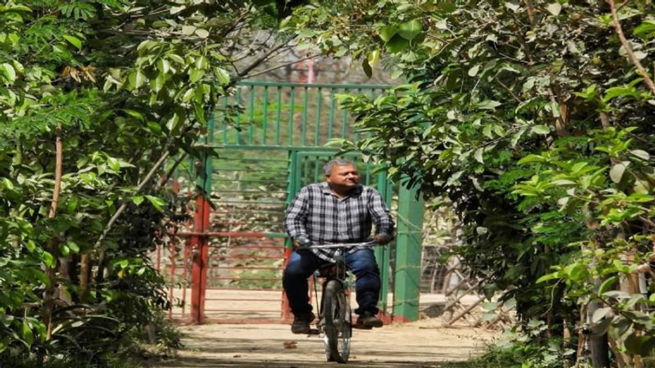 Give me trees ने HCL के साथ मिलकर नोएडा के सोरखा में बनाया Urban Forest, जानिए क्या है इसकी खासियत Give me trees ने HCL के साथ मिलकर नोएडा के सोरखा में बनाया Urban Forest, जानिए क्या है इसकी खासियत