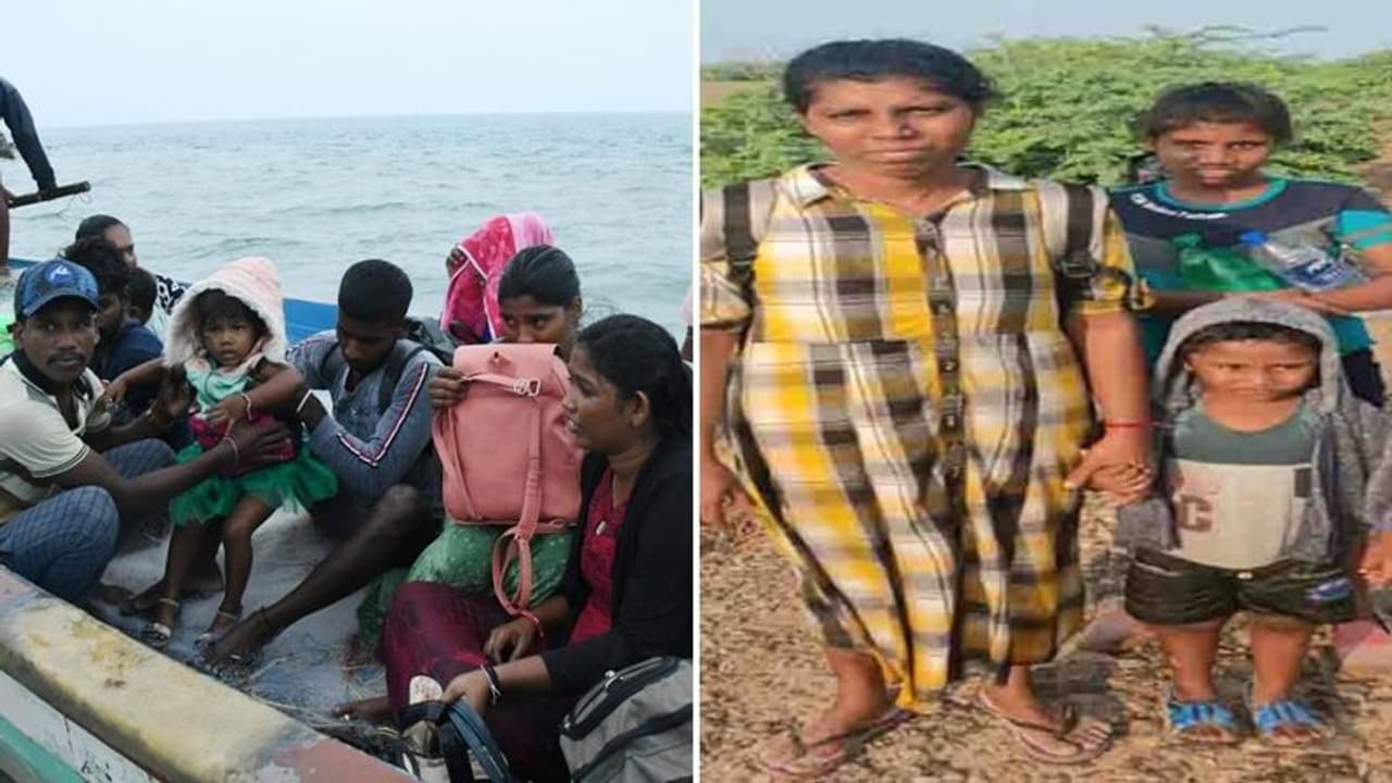 தனுஷ்கோடி வர 2.5 லட்சம் செலவு.. இலங்கையில் இருந்து 2 குழந்தைகளுடன் வந்த இளம்பெண் தகவல் !! தனுஷ்கோடி வர 2.5 லட்சம் செலவு.. இலங்கையில் இருந்து 2 குழந்தைகளுடன் வந்த இளம்பெண் தகவல் !!