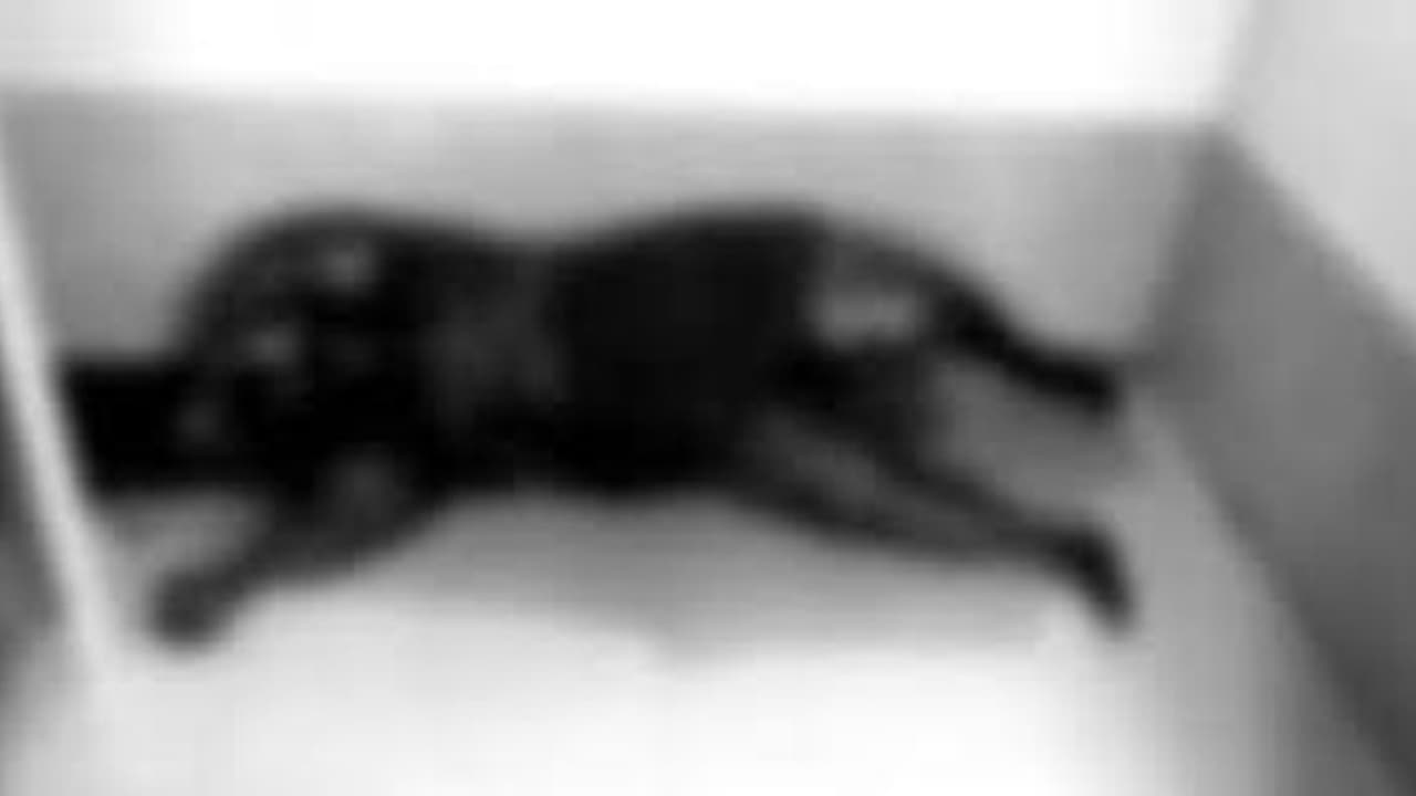 அரசு மருத்துவமனையில் அதிர்ச்சி சம்பவம் ..ஆப்ரேஷன் தியேட்டரில் கிடந்த மர்ம சடலம்.. விசாரணையில் பகீர்.. அரசு மருத்துவமனையில் அதிர்ச்சி சம்பவம் ..ஆப்ரேஷன் தியேட்டரில் கிடந்த மர்ம சடலம்.. விசாரணையில் பகீர்..