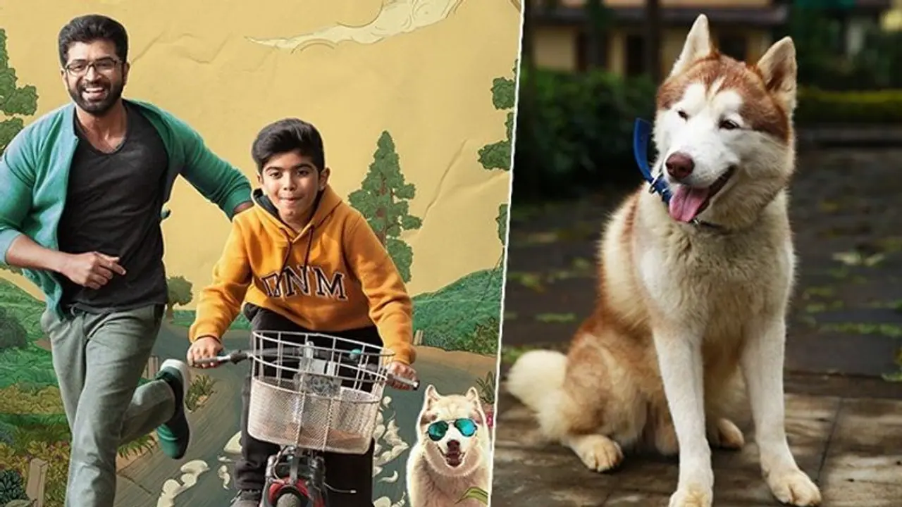 Oh My Dog movie: Arun Vijay opens up about his bond with pup 'Simba' and more than 100 other dogs