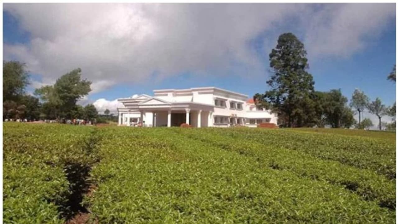 Kodanad Case : ജയലളിതയുടെ പ്രിയപ്പെട്ട വാസസ്ഥലം; ഇന്ന് ദുരൂഹതയുടെ രാവണന് കോട്ട! Kodanad Case : ജയലളിതയുടെ പ്രിയപ്പെട്ട വാസസ്ഥലം; ഇന്ന് ദുരൂഹതയുടെ രാവണന് കോട്ട!