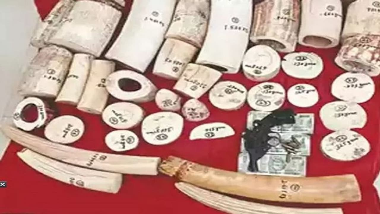 वन्यजीवों की तस्करी में गिरफ्तार दारोगा बर्खास्त, कार से 29 किलो हाथी दांत व डेढ़ लाख रुपये हुए थे बरामद वन्यजीवों की तस्करी में गिरफ्तार दारोगा बर्खास्त, कार से 29 किलो हाथी दांत व डेढ़ लाख रुपये हुए थे बरामद