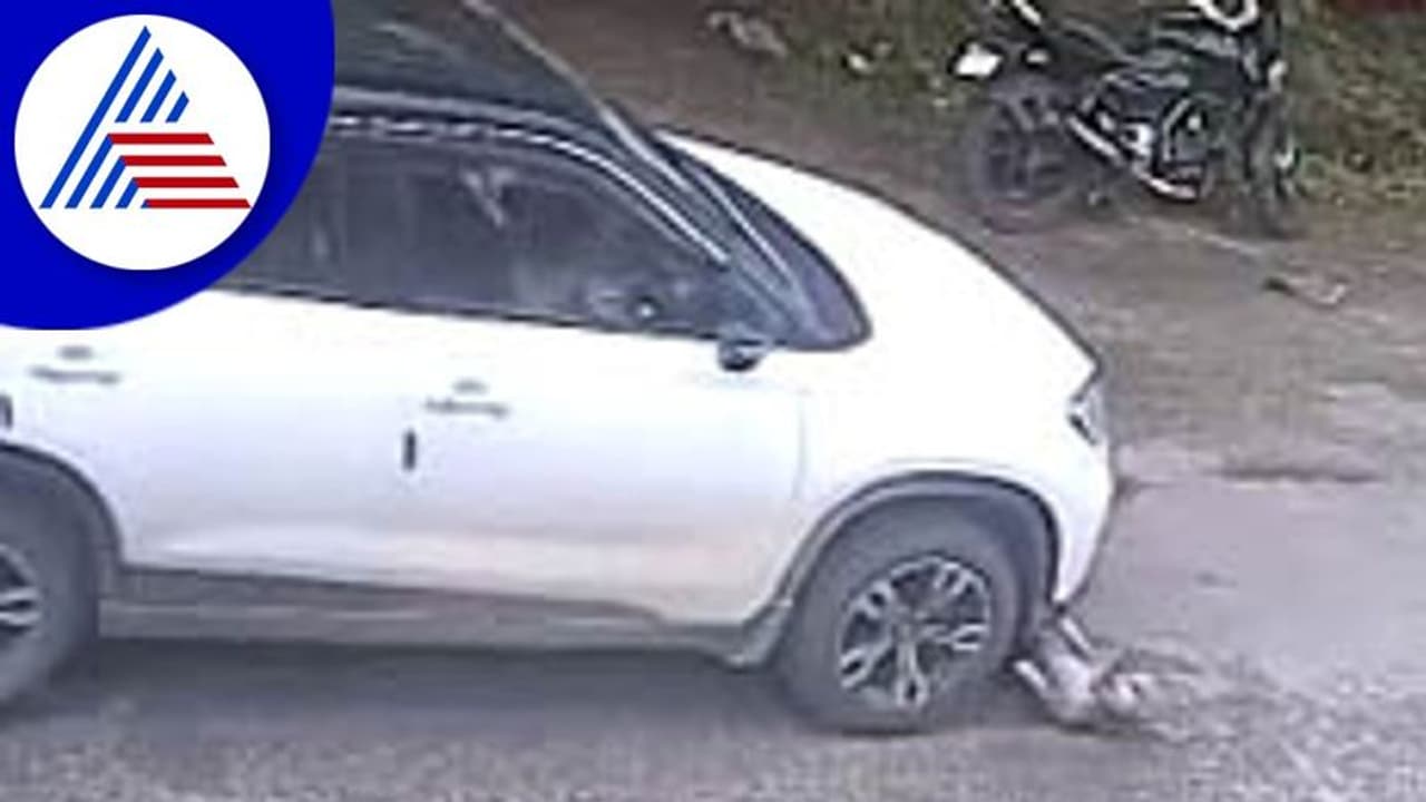 Bengaluru: ಕಾರು ಹತ್ತಿಸಿ ಬೀದಿ ನಾಯಿಯ ಕೊಂದ: ನರಳಿ ನರಳಿ ಪ್ರಾಣ ಬಿಟ್ಟ ಮೂಕಜೀವ Bengaluru: ಕಾರು ಹತ್ತಿಸಿ ಬೀದಿ ನಾಯಿಯ ಕೊಂದ: ನರಳಿ ನರಳಿ ಪ್ರಾಣ ಬಿಟ್ಟ ಮೂಕಜೀವ