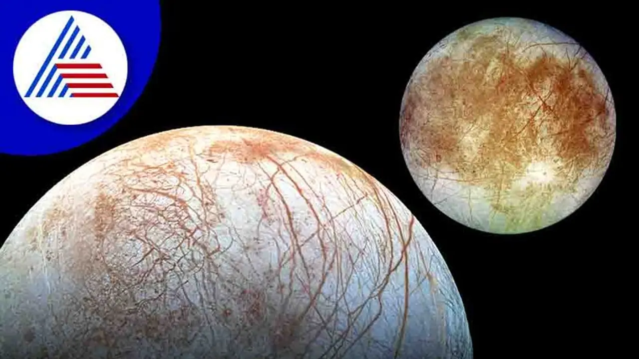 ಗುರುಗ್ರಹದ ಚಂದ್ರ ಯುರೋಪಾದಲ್ಲಿ ವಾಸಯೋಗ್ಯ ಪ್ರದೇಶ ಪತ್ತೆ: ಏಲಿಯನ್ಸ್ ಅಸ್ತಿತ್ವಕ್ಕೆ ಮತ್ತಷ್ಟು ಪುಷ್ಟಿ? ಗುರುಗ್ರಹದ ಚಂದ್ರ ಯುರೋಪಾದಲ್ಲಿ ವಾಸಯೋಗ್ಯ ಪ್ರದೇಶ ಪತ್ತೆ: ಏಲಿಯನ್ಸ್ ಅಸ್ತಿತ್ವಕ್ಕೆ ಮತ್ತಷ್ಟು ಪುಷ್ಟಿ?