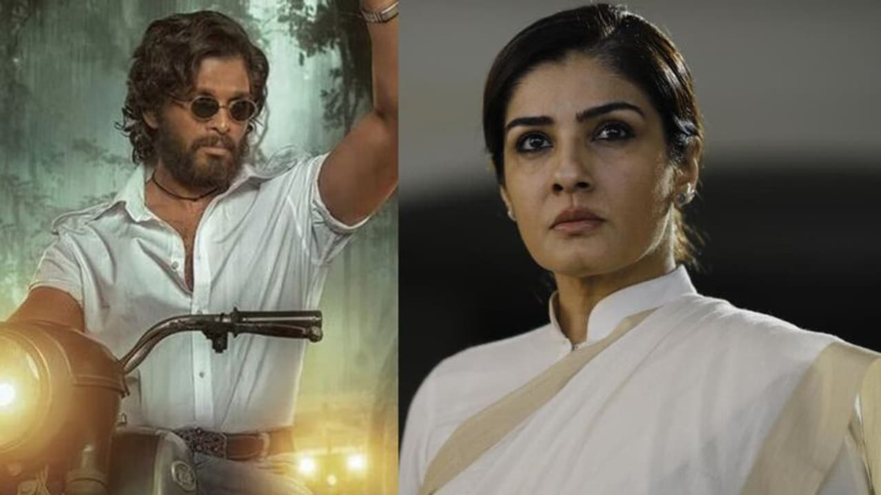 Allu Arjun: బన్నీ పొగడ్తలకు ఉబ్బితబ్బిబవుతున్న కెజిఎఫ్ రమికా సేన్.. ఐ లవ్ పుష్పరాజ్ అంటూ... Allu Arjun: బన్నీ పొగడ్తలకు ఉబ్బితబ్బిబవుతున్న కెజిఎఫ్ రమికా సేన్.. ఐ లవ్ పుష్పరాజ్ అంటూ...