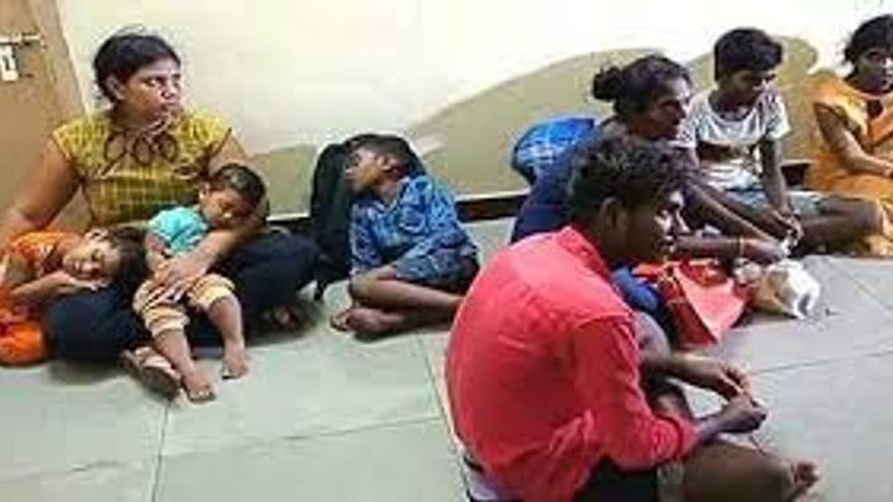 உணவுக்கு வழியில்லாமல் தவிக்கும் மக்கள்.. கர்ப்பிணி, குழந்தை உட்பட 13 பேர் தமிழகம் வருகை.. உணவுக்கு வழியில்லாமல் தவிக்கும் மக்கள்.. கர்ப்பிணி, குழந்தை உட்பட 13 பேர் தமிழகம் வருகை..