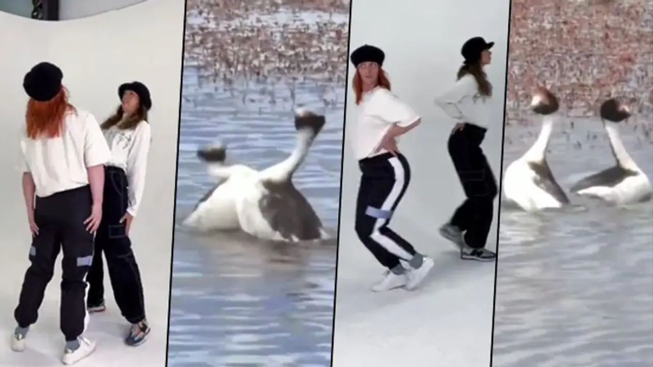 Watch: Two girls replicating a duck; hilarious video will leave you in splits