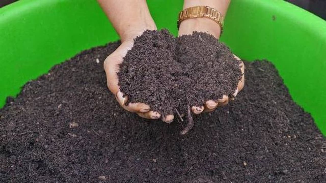 ಮಾನವ ಶವವನ್ನು ಗೊಬ್ಬರವನ್ನಾಗಿ ಪರಿವರ್ತಿಸಲು ನ್ಯೂಯಾರ್ಕ್‌ ಒಪ್ಪಿಗೆ..!