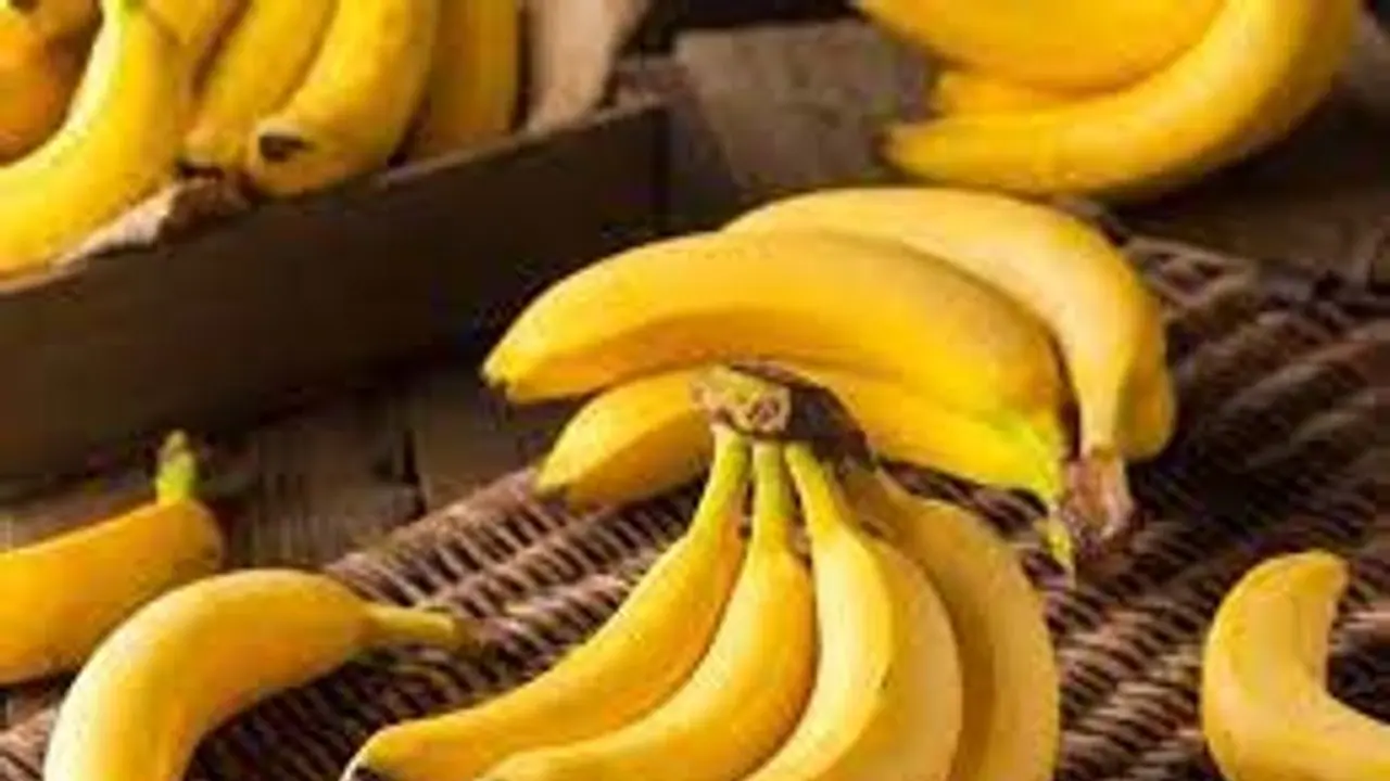 নিয়মিত কলা খাওয়া শরীরের জন্য কতটা উপকারি, জেনে নিন চিকিৎসকের মতামত নিয়মিত কলা খাওয়া শরীরের জন্য কতটা উপকারি, জেনে নিন চিকিৎসকের মতামত