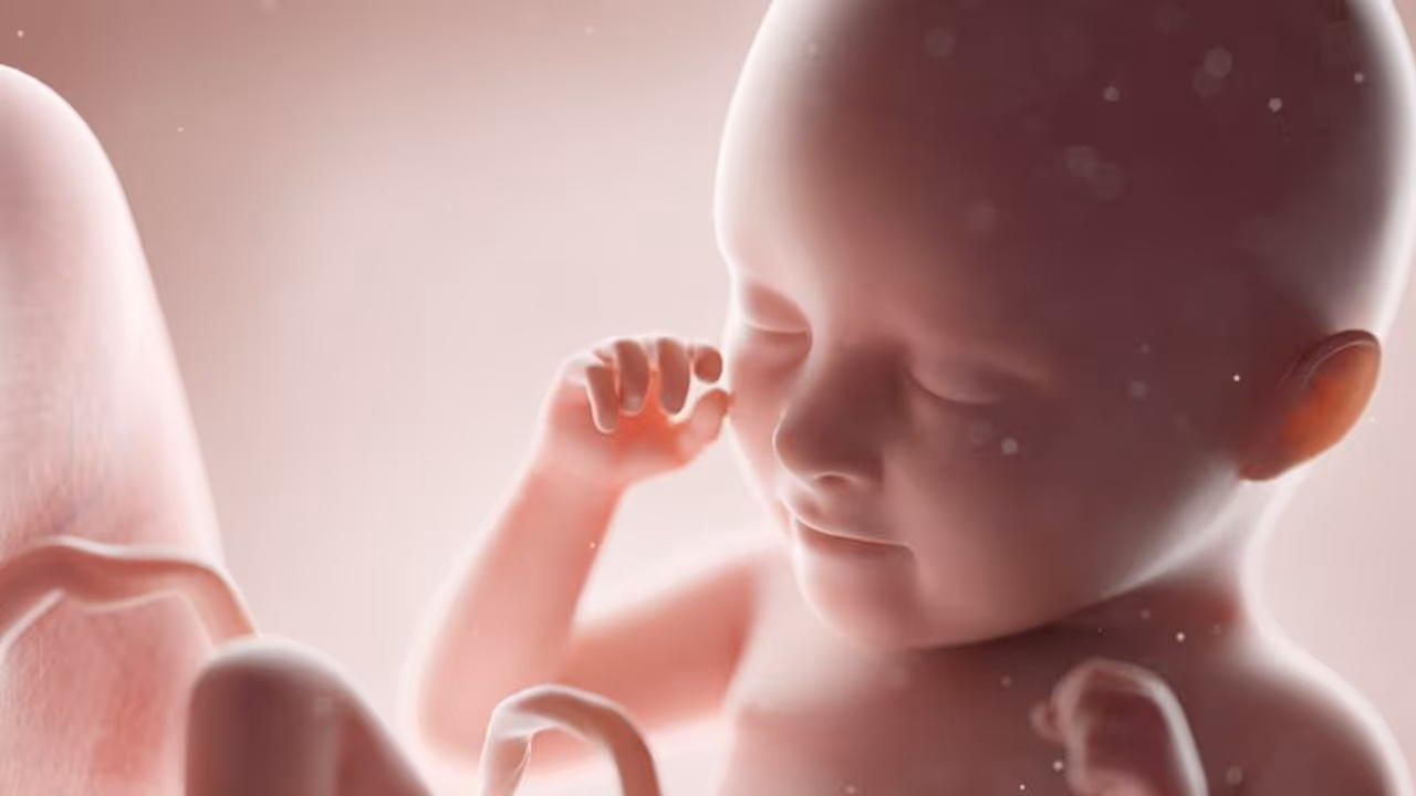 পুত্র সন্তান পেতে একটা অণ্ডকোষ কেটে ফেলত পুরুষরা! আদৌ কতটা বিজ্ঞানসম্মত এই প্রথা পুত্র সন্তান পেতে একটা অণ্ডকোষ কেটে ফেলত পুরুষরা! আদৌ কতটা বিজ্ঞানসম্মত এই প্রথা