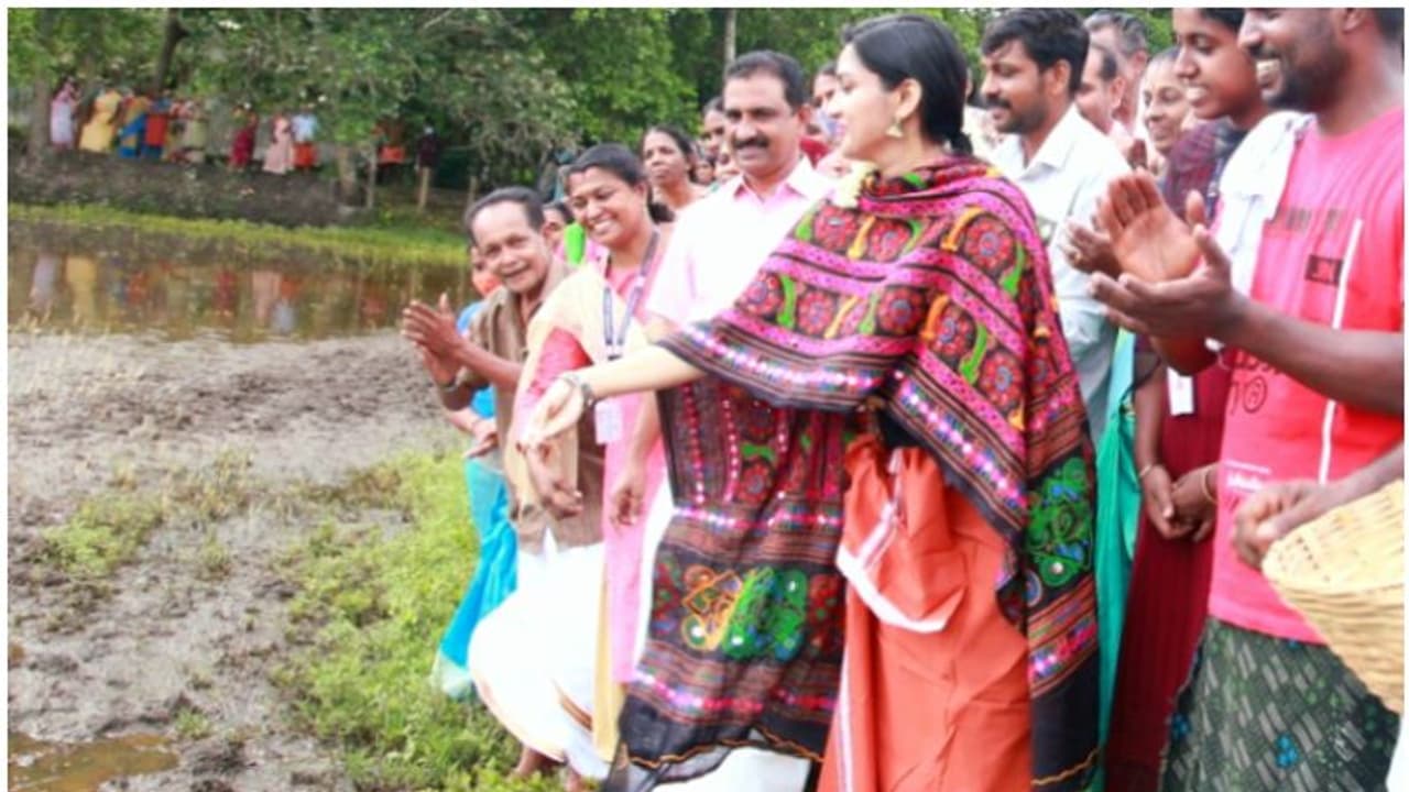 ലുങ്കിയുടുത്ത്, കർഷകയായി ജില്ലാ കളക്ടർ; 30 വർഷം തരിശ് കിടന്ന പാടവരമ്പത്ത് വിത്ത് വിതച്ച് രേണുരാജ്