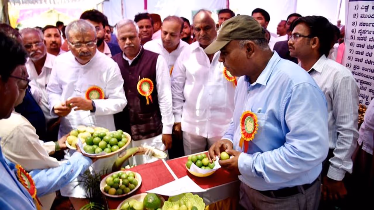 ರಾಜ್ಯದಲ್ಲಿ ಮೊದಲ ಬಾರಿಗೆ ನಡೆದ ಲಿಂಬೆ ಉತ್ಸವದ ಝಲಕ್