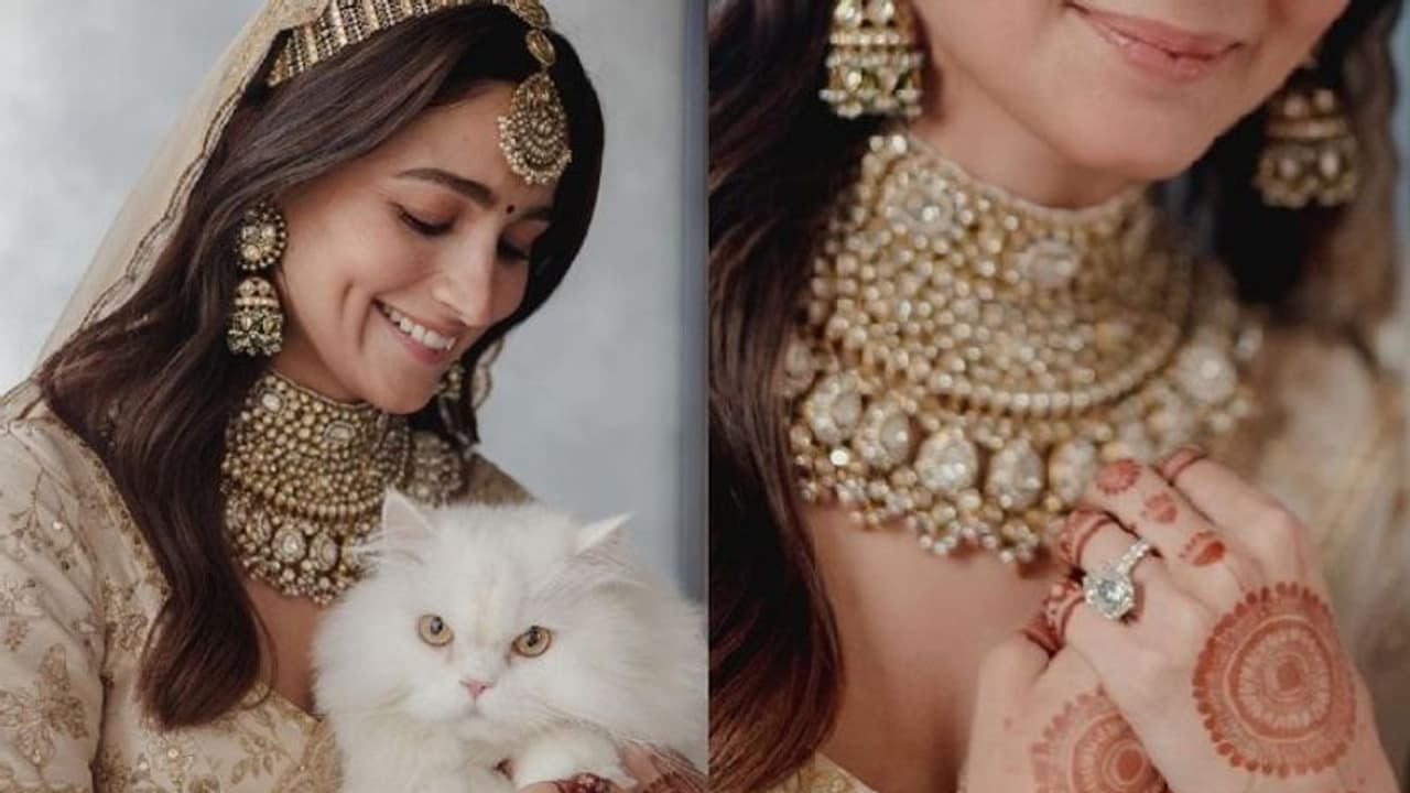 Alia Bhatt : എഡ്വേര്‍ഡിനൊപ്പം ആലിയ; ആരാധകരുടെ കണ്ണുടക്കിയത് പക്ഷേ മറ്റൊന്നില്‍...