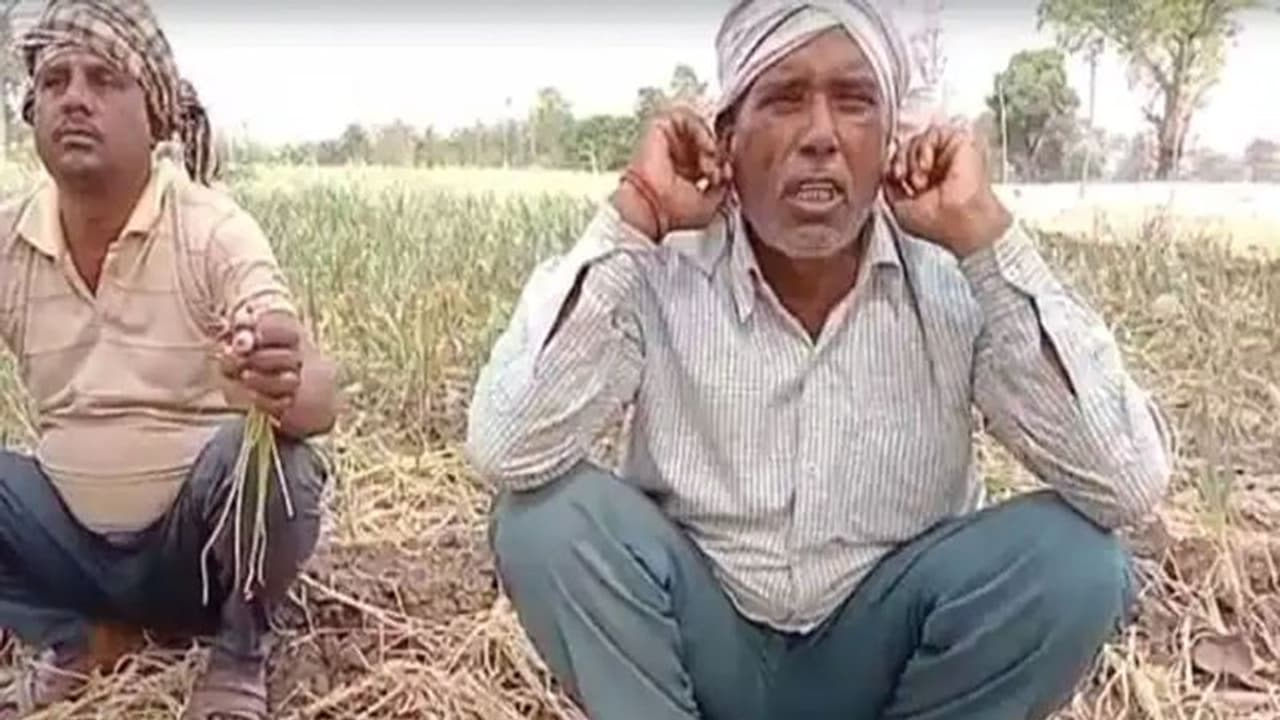कान पकड़कर क्यों उठक बैठक कर रहा मध्यप्रदेश का ये किसान, पूरी जिंदगी इस फसल की खेती ना करने की खा रहा कसम
