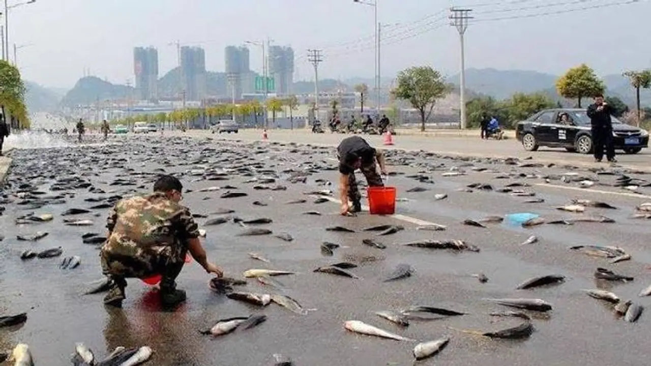 Fish rain: చేపల వాన.. ఆ ఊరంతా చేపలే.. ! Fish rain: చేపల వాన.. ఆ ఊరంతా చేపలే.. !