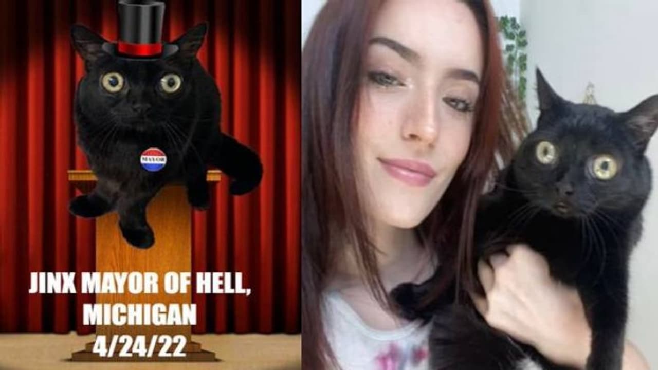 ഈ ന​ഗരത്തിലെ മേയറായി ഒരു പൂച്ച, സാമൂഹികമാധ്യമങ്ങളിൽ സ്റ്റാറായ പൂച്ച!