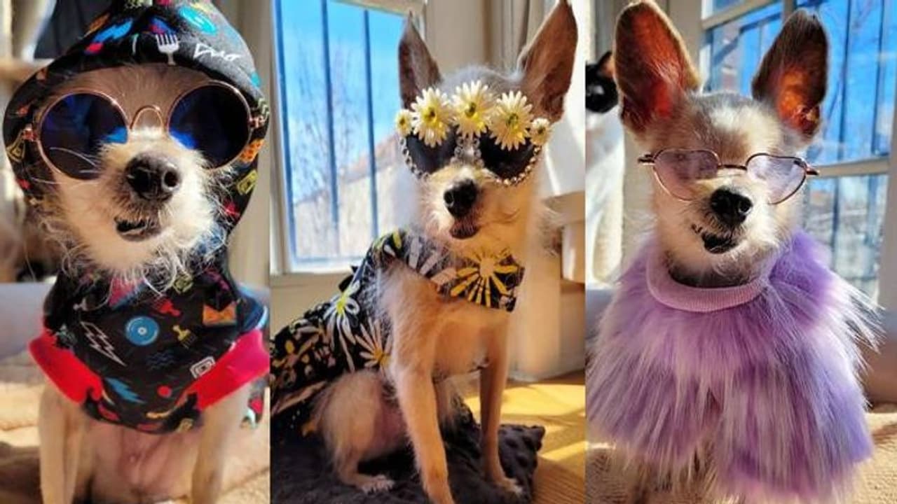 സ്റ്റൈലിഷ് വസ്ത്രങ്ങൾ, ഗ്ലാസ്, 641 ഫോട്ടോഷൂട്ട്, താരമാണ് റോസി! സ്റ്റൈലിഷ് വസ്ത്രങ്ങൾ, ഗ്ലാസ്, 641 ഫോട്ടോഷൂട്ട്, താരമാണ് റോസി!