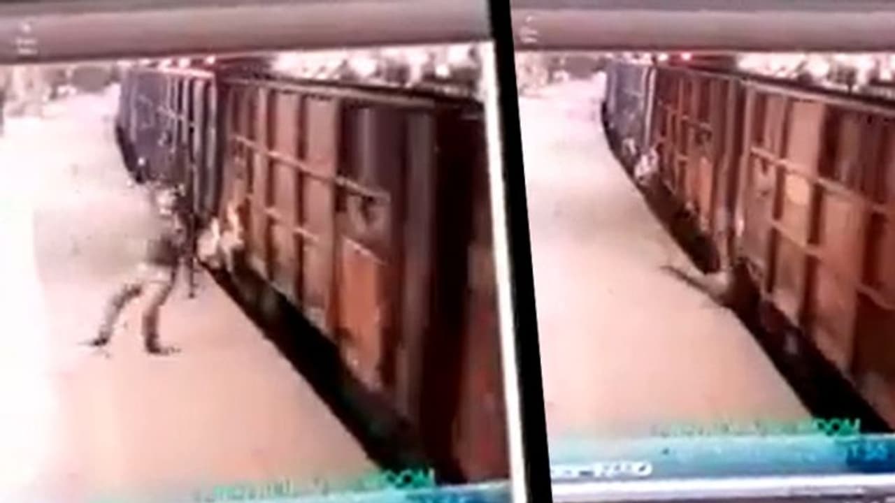 মর্মান্তিক ঘটনা, মাথা ঘুড়িয়ে সোজা চলন্ত ট্রেনের নীচে পড়ে গেলেন জিআরপি, দেখুন ভাইরাল ভিডিও মর্মান্তিক ঘটনা, মাথা ঘুড়িয়ে সোজা চলন্ত ট্রেনের নীচে পড়ে গেলেন জিআরপি, দেখুন ভাইরাল ভিডিও