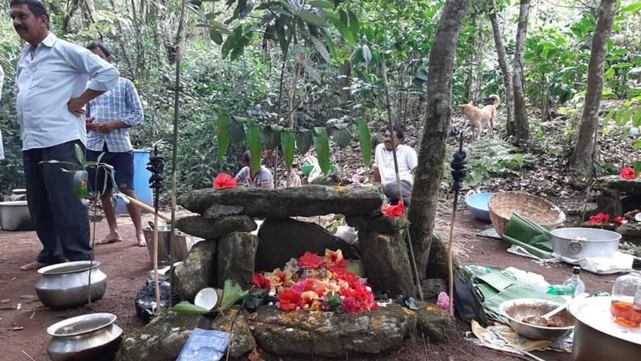 ಮಲೆನಾಡಿನಲ್ಲಿ ಚೌಡಿಹಬ್ಬ ಸಂಭ್ರಮ, ಮುಂಗಾರು ಮಳೆ ಪೂರ್ವದಲ್ಲಿ ನಡೆಯುವ ದೇವರ ಪೂಜೆ ಮಲೆನಾಡಿನಲ್ಲಿ ಚೌಡಿಹಬ್ಬ ಸಂಭ್ರಮ, ಮುಂಗಾರು ಮಳೆ ಪೂರ್ವದಲ್ಲಿ ನಡೆಯುವ ದೇವರ ಪೂಜೆ