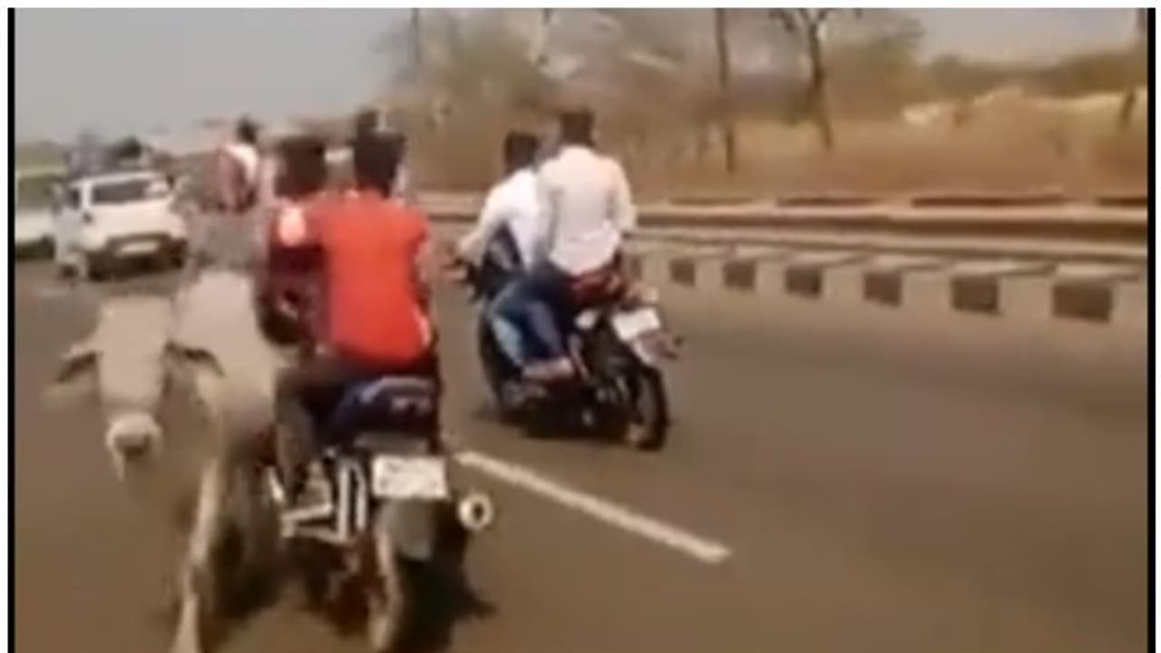 ఆవును ఢీకొట్టిన భీమ్ ఆర్మీ చీఫ్ రావన్ కాన్వాయ్‌ బైక్.. యువకుడు దుర్మరణం