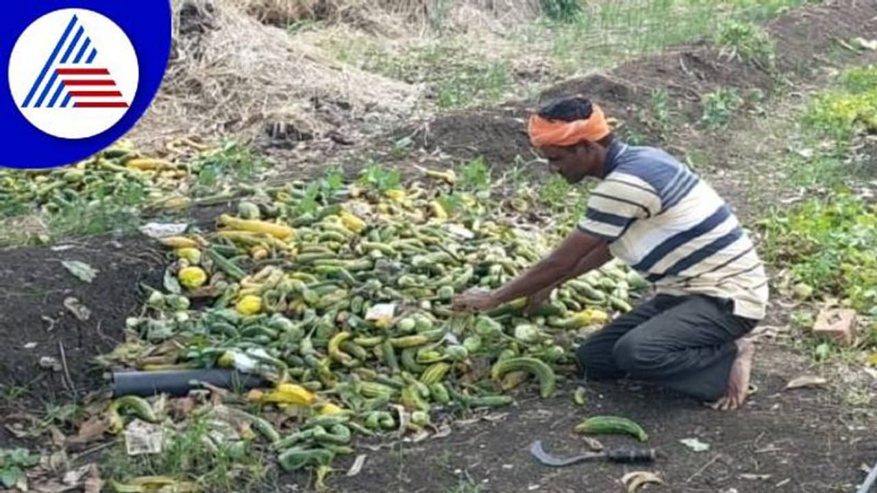 ಅಕಾಲಿಕ ಮಳೆಗೆ ನಲುಗಿದ ಬೆಳಗಾವಿ: ಸಂಕಷ್ಟದಲ್ಲಿ ಅನ್ನದಾತ ಅಕಾಲಿಕ ಮಳೆಗೆ ನಲುಗಿದ ಬೆಳಗಾವಿ: ಸಂಕಷ್ಟದಲ್ಲಿ ಅನ್ನದಾತ