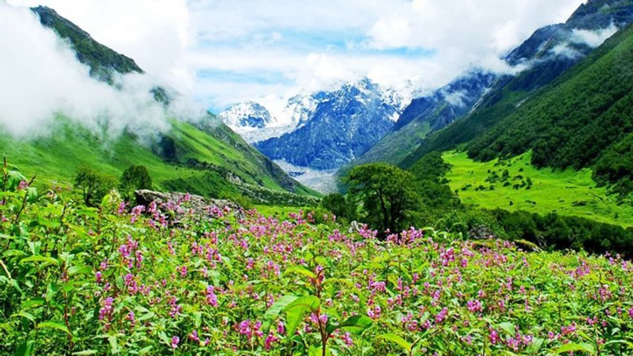 ভ্রমণ প্রেমিদের জন্য খারাপ খবর, আপাতত বন্ধ উত্তরাখণ্ডের ভ্যালি অব ফ্লাওয়ার্স ভ্রমণ প্রেমিদের জন্য খারাপ খবর, আপাতত বন্ধ উত্তরাখণ্ডের ভ্যালি অব ফ্লাওয়ার্স
