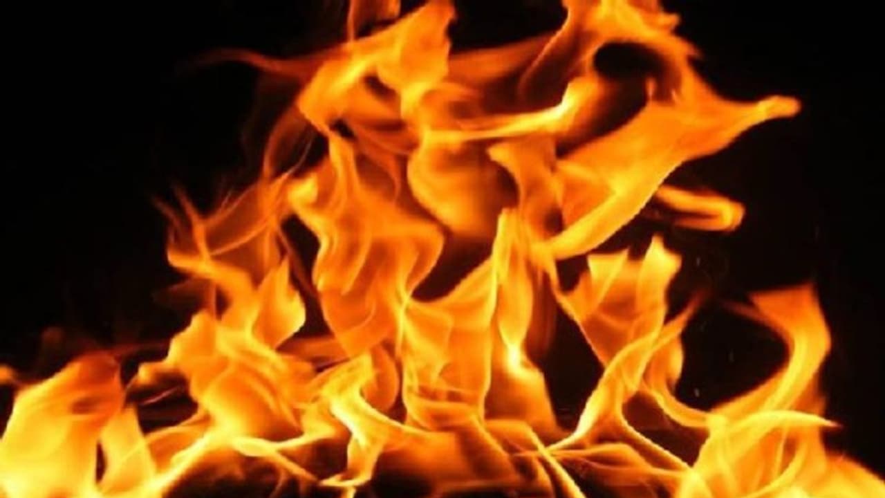 பாலியல் தொழில் செய்யச்சொல்லி வற்புறுத்தும் இயக்குனர்... கொலை மிரட்டல் விடுப்பதாக நடிகை தீக்குளிக்க முயற்சி பாலியல் தொழில் செய்யச்சொல்லி வற்புறுத்தும் இயக்குனர்... கொலை மிரட்டல் விடுப்பதாக நடிகை தீக்குளிக்க முயற்சி