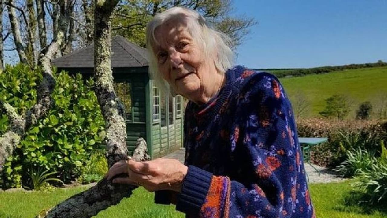 90 കാരിക്ക് മുറ്റത്ത് നിന്നും കിട്ടിയത് അമൂല്യവസ്തു, 35 വർഷം മുമ്പ് കാണാതെപോയ ഭർത്താവിന്റെ വിവാഹമോതിരം! 90 കാരിക്ക് മുറ്റത്ത് നിന്നും കിട്ടിയത് അമൂല്യവസ്തു, 35 വർഷം മുമ്പ് കാണാതെപോയ ഭർത്താവിന്റെ വിവാഹമോതിരം!