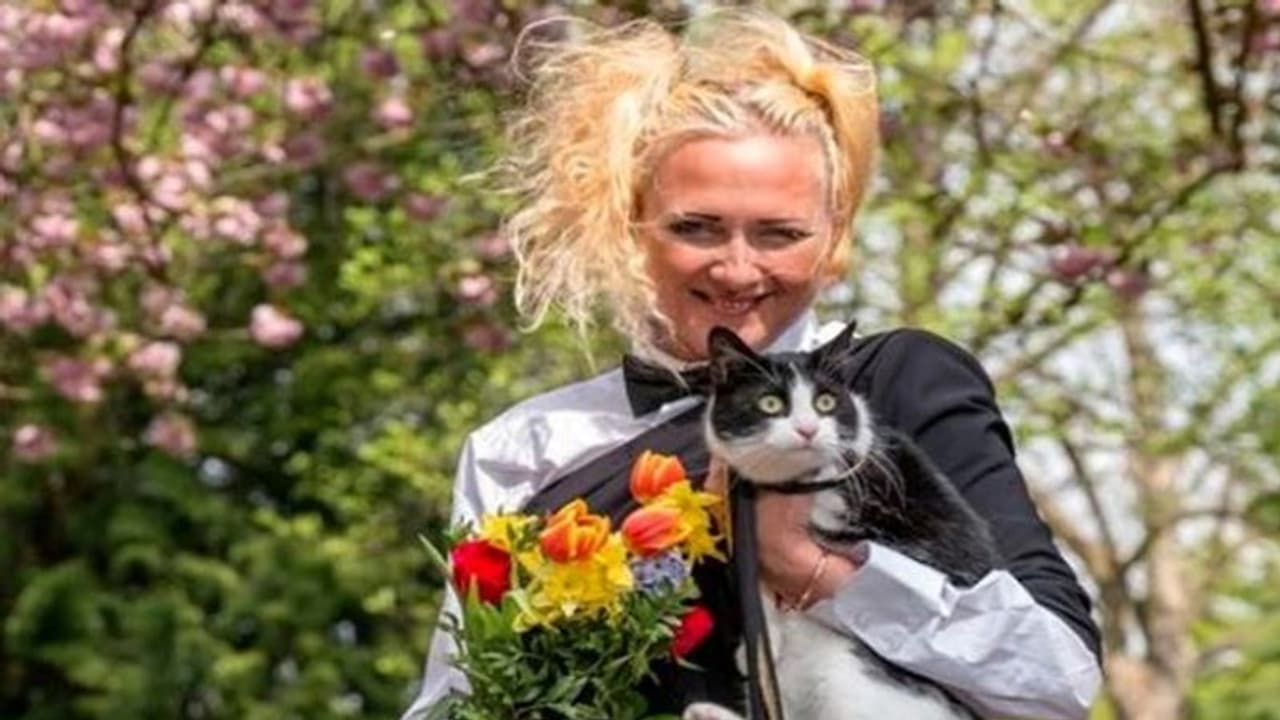 अजब गजब: इस महिला को कोई और नहीं मिला तो पालतू बिल्ली 'इंडिया' से रचा ली शादी, वजह जान चौंक जाएंगे आप अजब गजब: इस महिला को कोई और नहीं मिला तो पालतू बिल्ली 'इंडिया' से रचा ली शादी, वजह जान चौंक जाएंगे आप