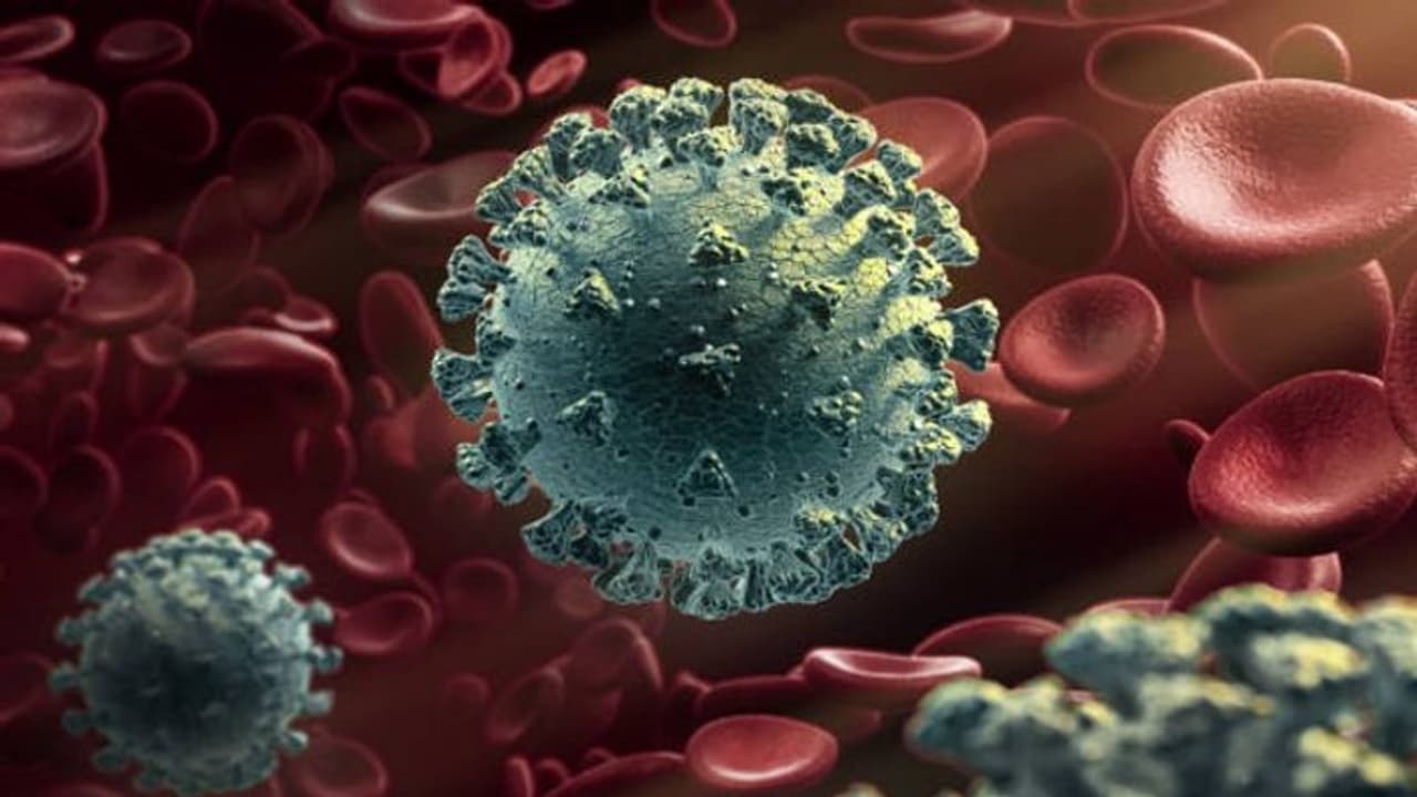 Coronavirus : కరోనా కలవరం.. ఢిల్లీలో పెరుగుతున్న ఇన్ ఫెక్షన్.. ఒక్క రోజే 1367 కేసుల నమోదు.. Coronavirus : కరోనా కలవరం.. ఢిల్లీలో పెరుగుతున్న ఇన్ ఫెక్షన్.. ఒక్క రోజే 1367 కేసుల నమోదు..