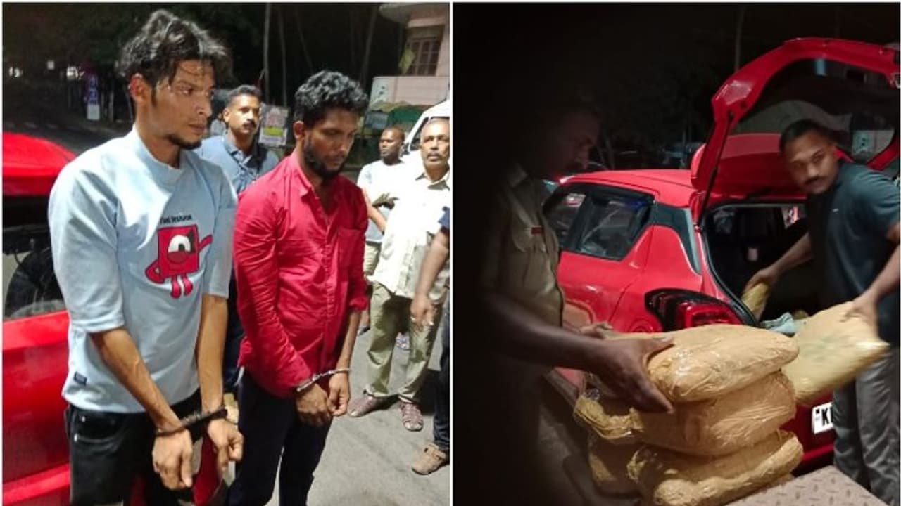 തിരുവനന്തപുരത്ത് കഞ്ചാവുമായി പിടിയിലായവർ സ്ഥിരം കടത്തുകാർ, പിടിയിലാകുന്നത് ആദ്യം തിരുവനന്തപുരത്ത് കഞ്ചാവുമായി പിടിയിലായവർ സ്ഥിരം കടത്തുകാർ, പിടിയിലാകുന്നത് ആദ്യം