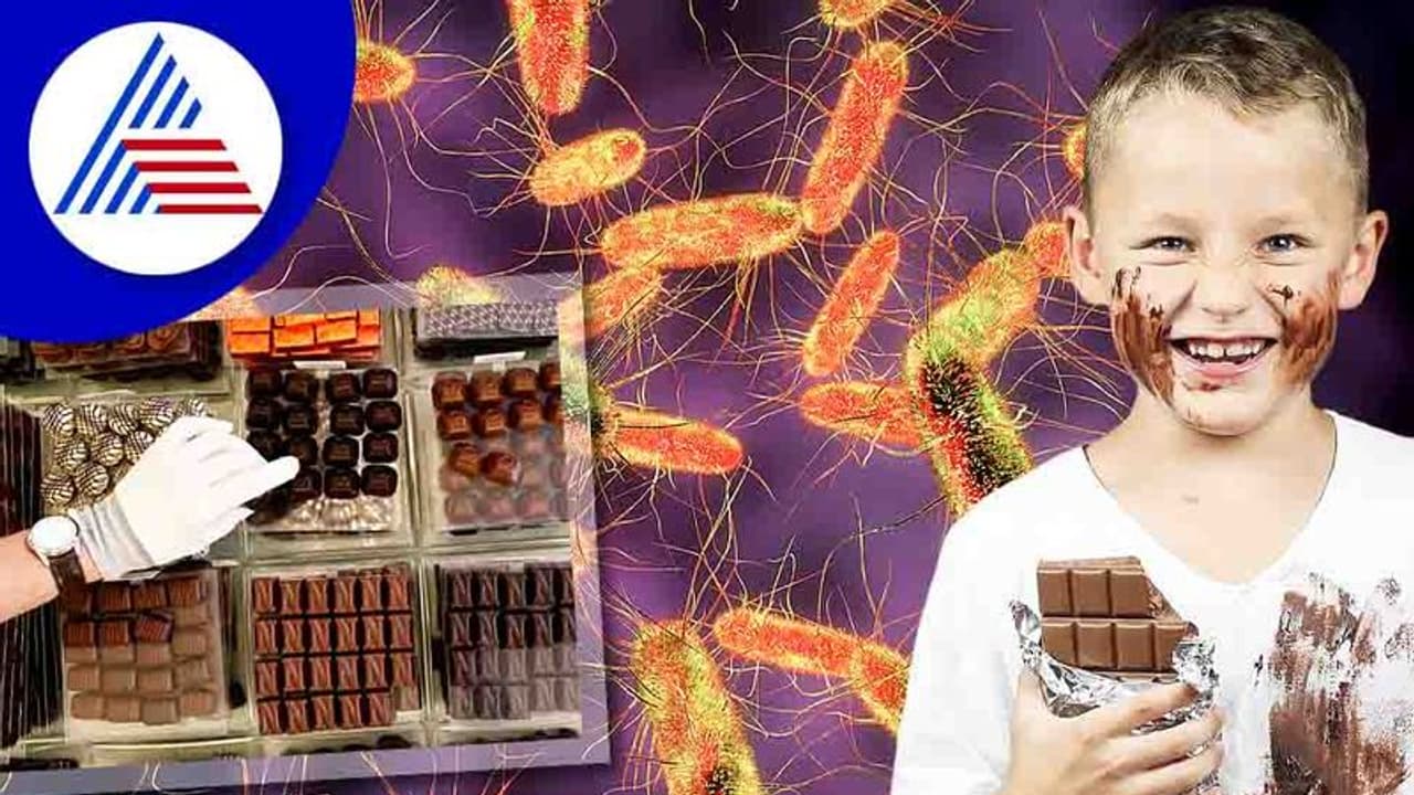 Salmonella Infection: ಚಾಕೋಲೇಟ್ ಮೂಲಕ ಸಾಲ್ಮೊನೆಲ್ಲಾ! ಸೋಂಕಿನ ಅರಿವಿರಲಿ Salmonella Infection: ಚಾಕೋಲೇಟ್ ಮೂಲಕ ಸಾಲ್ಮೊನೆಲ್ಲಾ! ಸೋಂಕಿನ ಅರಿವಿರಲಿ