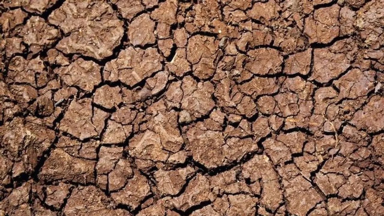 Drought declared in parts of England as severe heatwave grips UK Drought declared in parts of England as severe heatwave grips UK