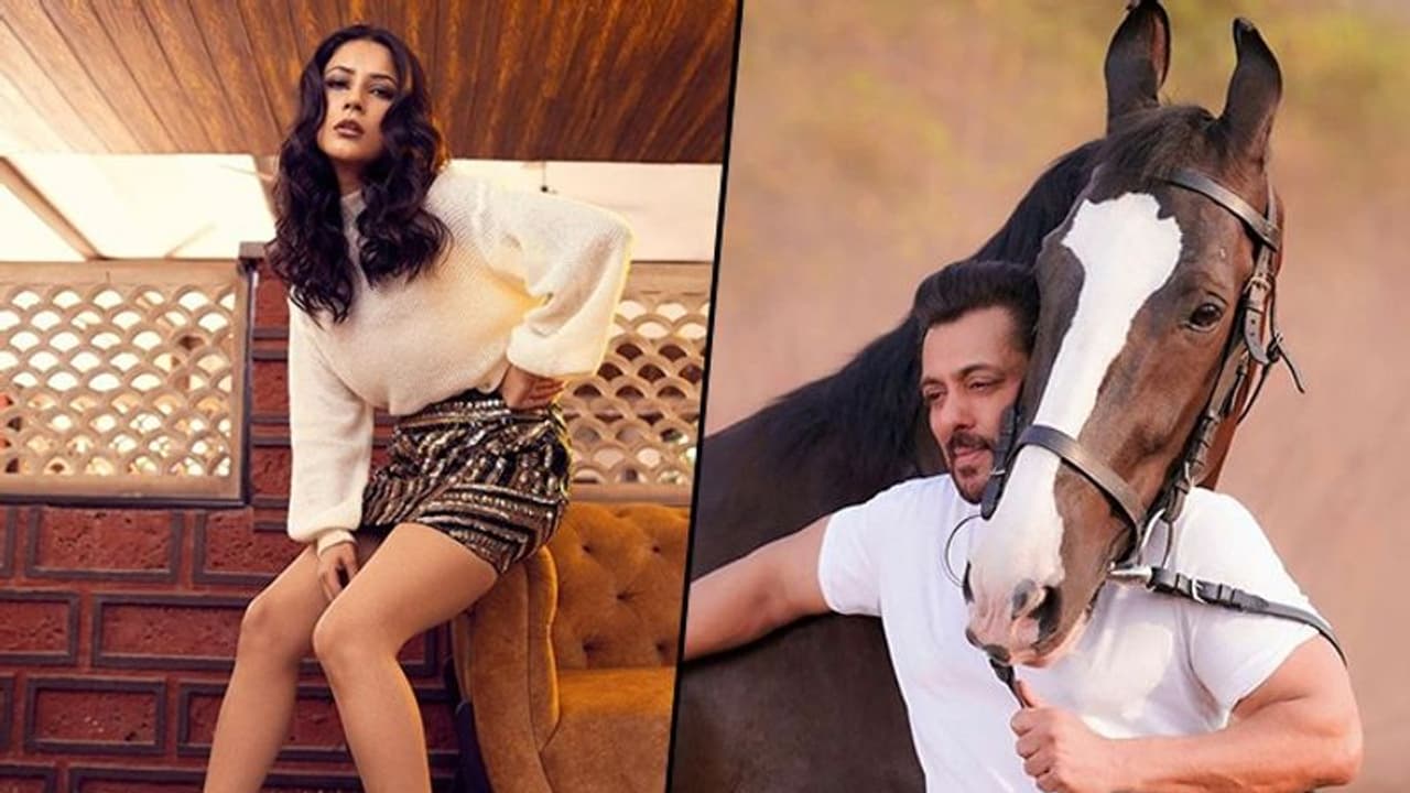 Shehnaaz Gill to make her Bollywood debut opposite Salman Khan? Shehnaaz Gill to make her Bollywood debut opposite Salman Khan?