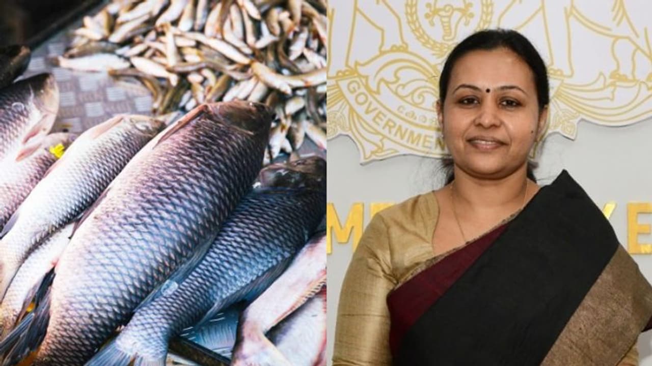 ഓപ്പറേഷന് മത്സ്യ ശക്തമാക്കി; മായം കലര്ന്ന മീനിന്റെ വരവ് കുറഞ്ഞെന്ന് മന്ത്രി വീണ ജോര്ജ് ഓപ്പറേഷന് മത്സ്യ ശക്തമാക്കി; മായം കലര്ന്ന മീനിന്റെ വരവ് കുറഞ്ഞെന്ന് മന്ത്രി വീണ ജോര്ജ്