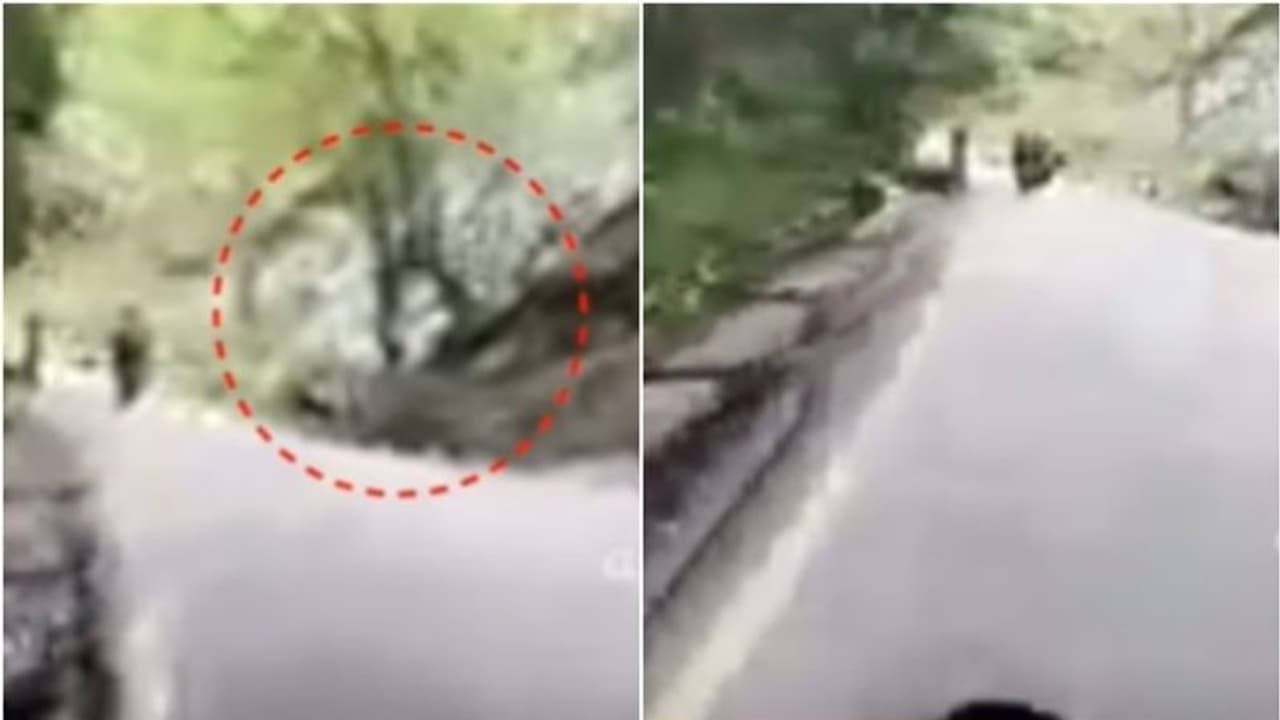 ഉരുണ്ടുവന്ന പാറക്കല്ലിൽ പൊലീഞ്ഞ ജീവൻ, താമരശ്ശേരി ചുരത്തിലെ അപകട ദൃശ്യം പുറത്ത് ഉരുണ്ടുവന്ന പാറക്കല്ലിൽ പൊലീഞ്ഞ ജീവൻ, താമരശ്ശേരി ചുരത്തിലെ അപകട ദൃശ്യം പുറത്ത്