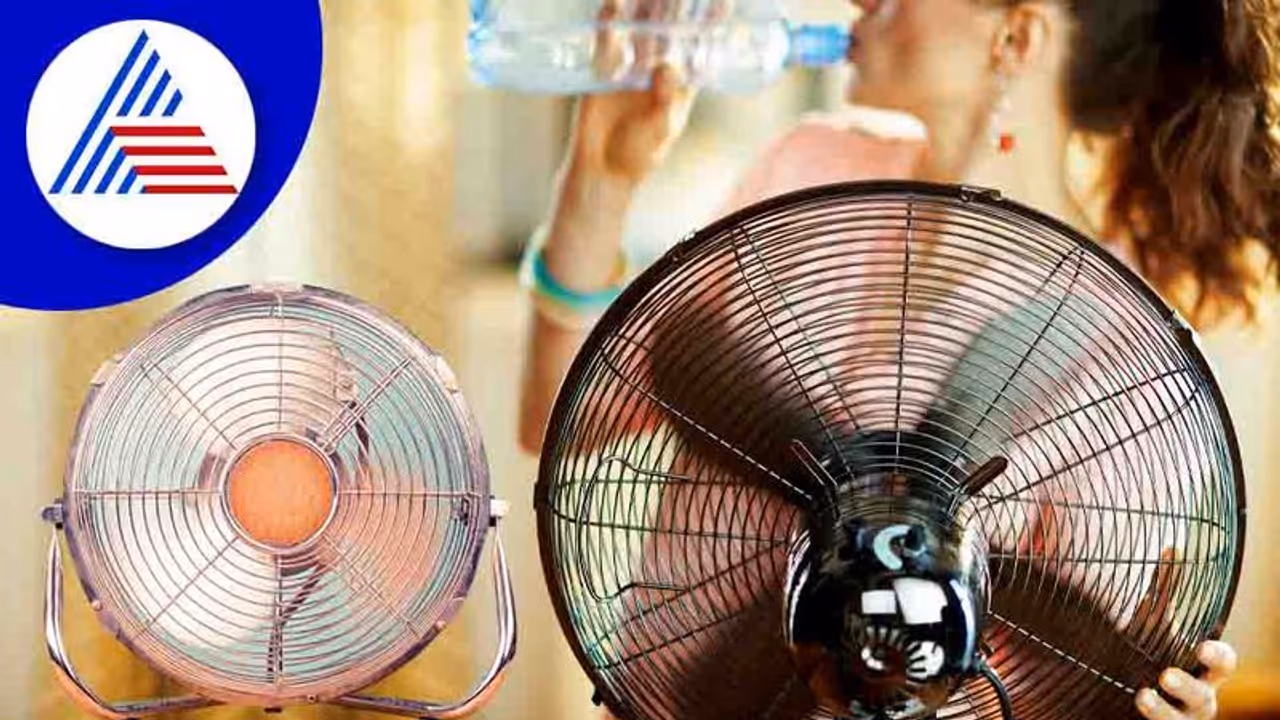 Summer Tips: ಎಸಿ, ಕೂಲರ್ ಇಲ್ಲದೆ ಮನೆ ಥಂಡಾ ಥಂಡಾ ಕೂಲ್ ಆಗೋದು ಹೇಗೆ?