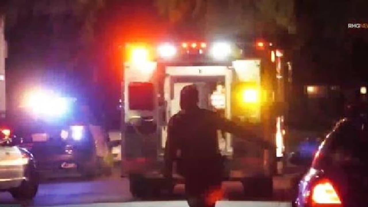 വളർത്തുനായ മകളെ കടിച്ചുകീറി, കറിക്കത്തിയെടുത്ത് കുത്തിക്കൊന്ന് അമ്മ വളർത്തുനായ മകളെ കടിച്ചുകീറി, കറിക്കത്തിയെടുത്ത് കുത്തിക്കൊന്ന് അമ്മ