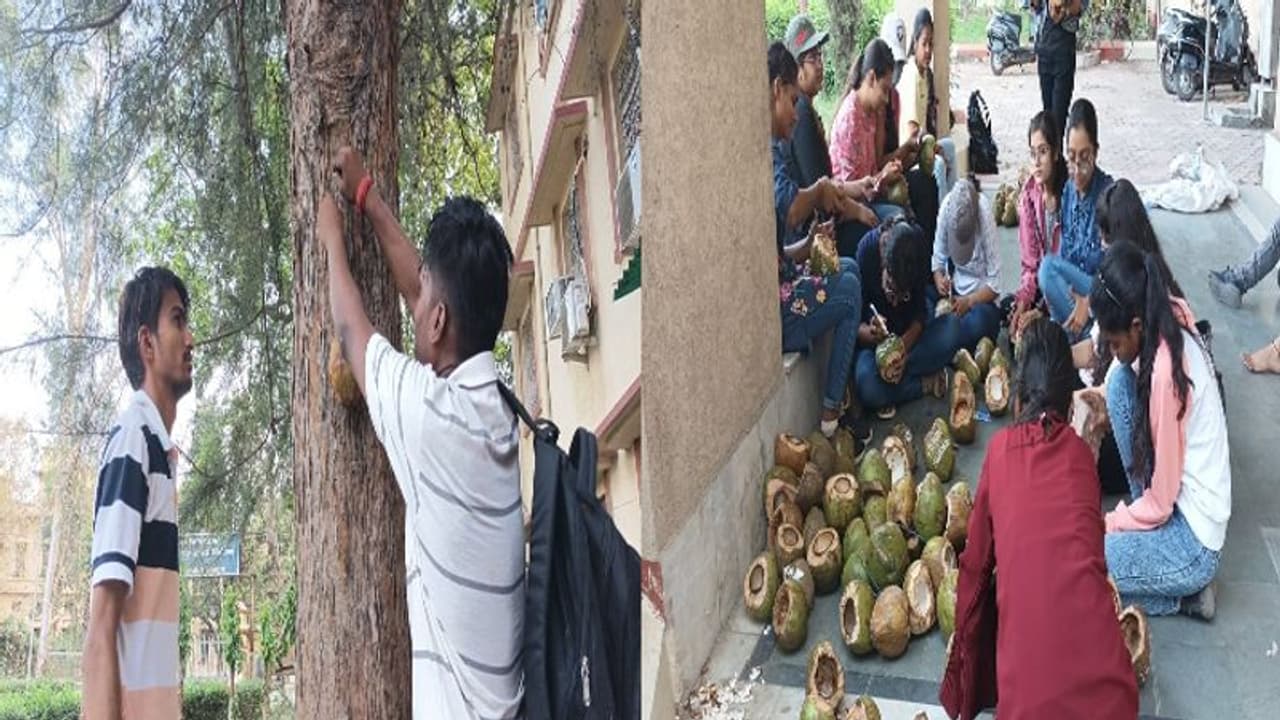 Special Report: बीएचयू के 36 छात्रों ने पक्षियों के जल के लिए निकाला अनोखा उपाय, देखिए खास रिपोर्ट Special Report: बीएचयू के 36 छात्रों ने पक्षियों के जल के लिए निकाला अनोखा उपाय, देखिए खास रिपोर्ट